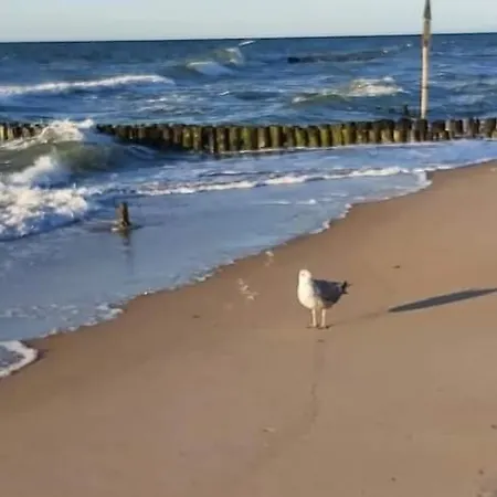 Kolo Brzegu Spa, Jacuzzi Lwowska Lägenhet *