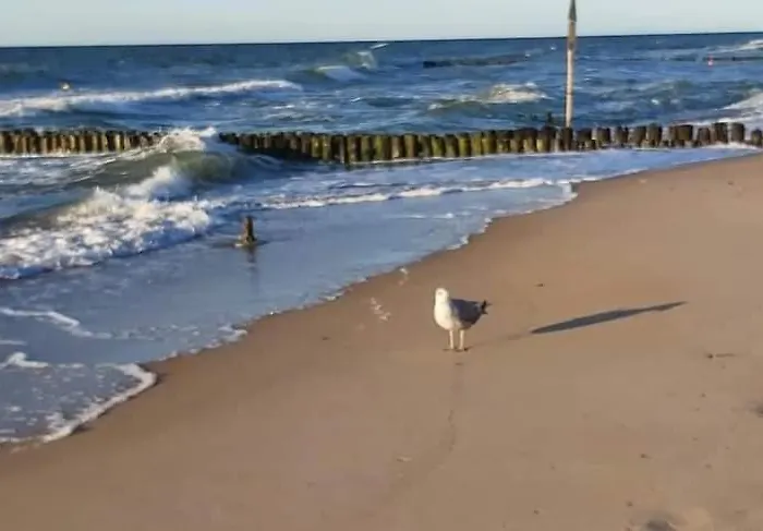 Kolo Brzegu Spa, Jacuzzi Lwowska Apartamento *